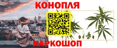 гашик Будённовск