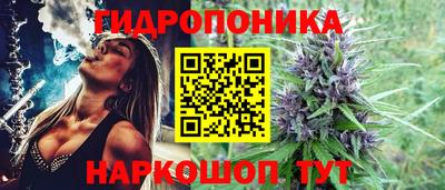 гашик Будённовск